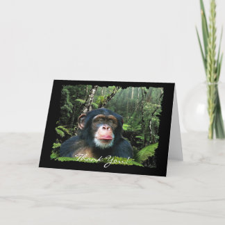 CARTÕES DE AGRADECIMENTOS CHIMPANZEE