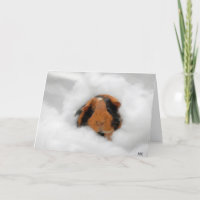 cartões de agradecimentos "Cloud 9 Obrigado-You"