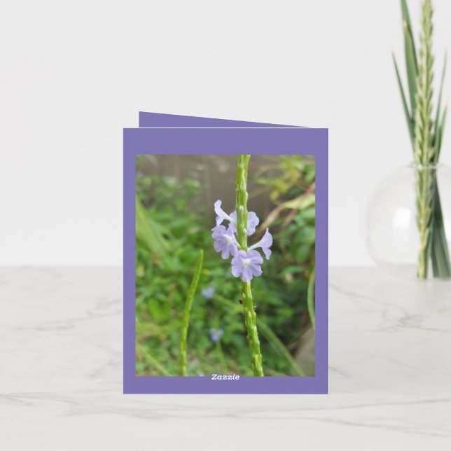 Cartões de agradecimentos Com Foto De Flor De Plan (Verso)