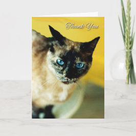 Cartões de agradecimentos com Gato Siamês Colorido