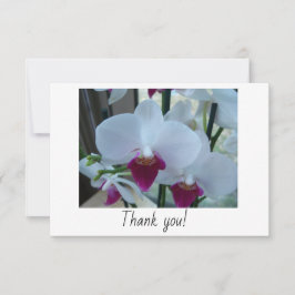 Cartões de agradecimentos com orquídeas brancas e
