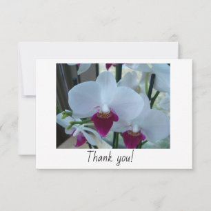 Cartões de agradecimentos com orquídeas brancas e 