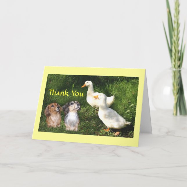 Cartões de agradecimentos Com Patos (Frente)
