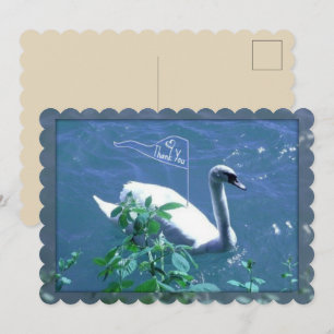 Cartões de agradecimentos da cisne da navigação