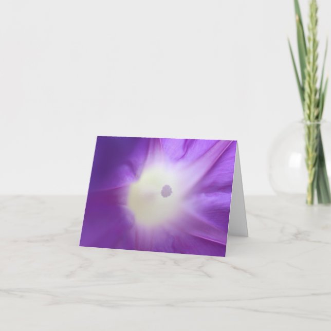 Cartões de agradecimentos da Glória da Manhã Roxa (Frente)