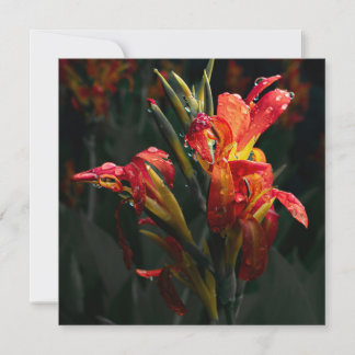 Cartões de agradecimentos da ventoinha