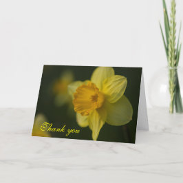 Cartões de agradecimentos Daffodil