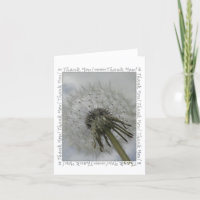 Cartões de agradecimentos Dandelion