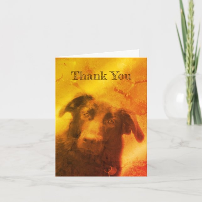 Cartões de agradecimentos de Arte de Cachorro Pret (Frente)