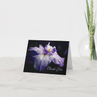 Cartões de agradecimentos de Beleza da Flor Iris J