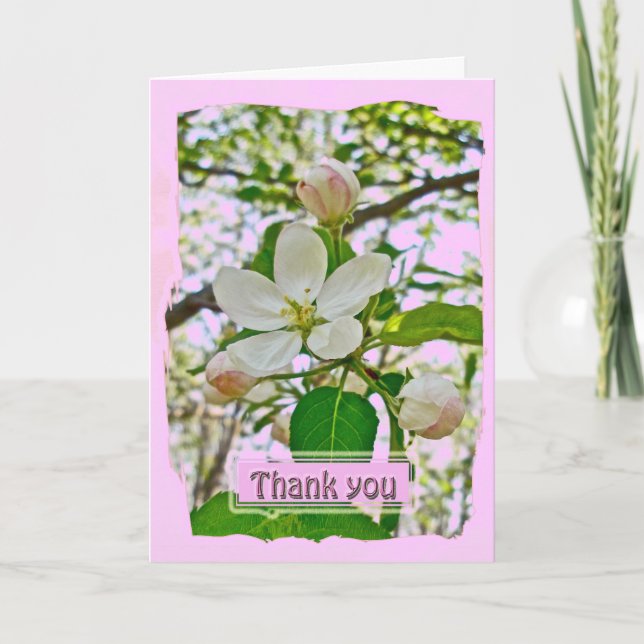 Cartões de agradecimentos de Blossomas de Maçã (Frente)