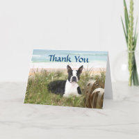 Cartões de agradecimentos de Boston Terrier - Prad