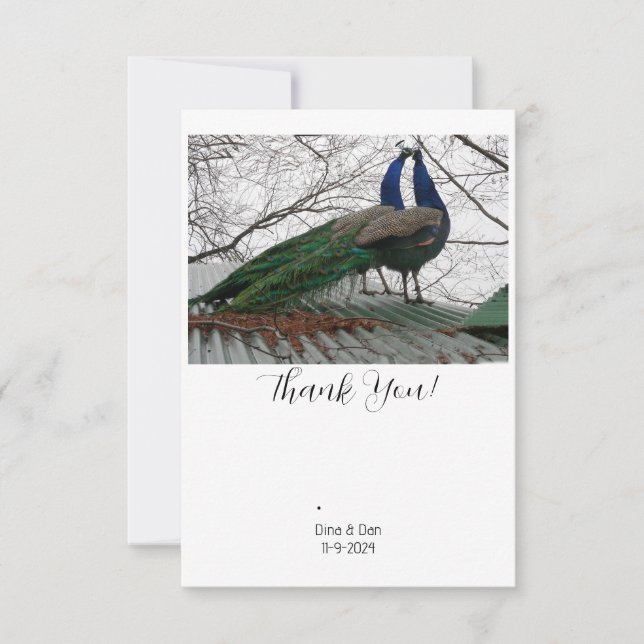 Cartões de agradecimentos de Casamento Elegante (Frente)