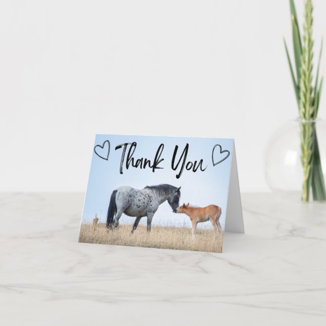 Cartões de agradecimentos de Cavalo Selvagem de Pr (Frente)