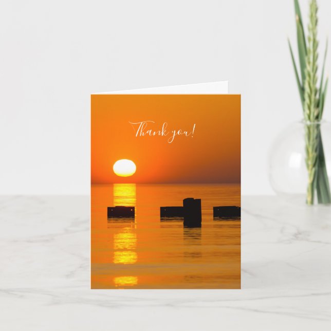 Cartões de agradecimentos de Chicago Orange Galore (Frente)