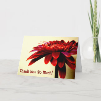 Cartões de agradecimentos de Flor de Gerbera Verme
