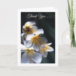 Cartões de agradecimentos de flor Frangipani