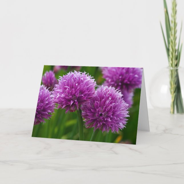 Cartões de agradecimentos de Flores Chive (Frente)