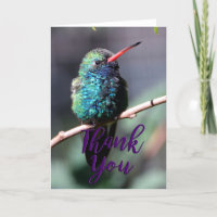 Cartões de agradecimentos de Foto de Hummingbird