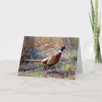 Cartões de agradecimentos de Fotografia Pheasant c