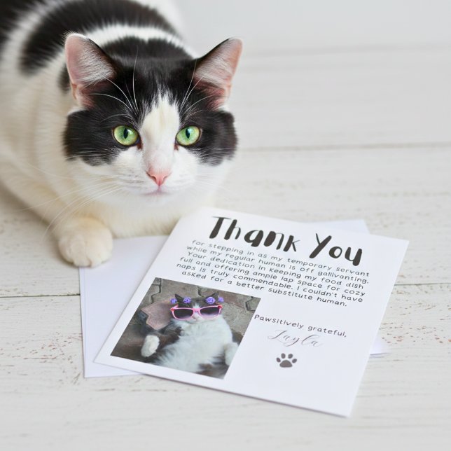 Cartões de agradecimentos de Fotografias Personali (Pawsitively Grateful Custom Photo Thank You Card)
