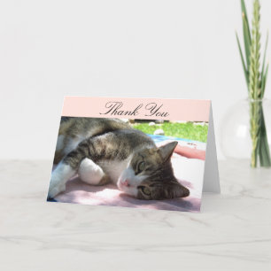 Cartões de agradecimentos de Gato Grande