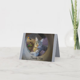 Cartões de agradecimentos de gatos