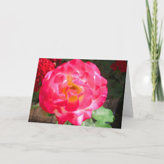 Cartões de agradecimentos de jardim