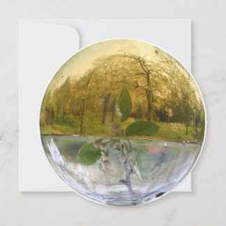 Cartões de agradecimentos de mastigação da essênci