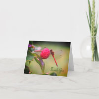 Cartões de agradecimentos de Natureza da Dragonfly