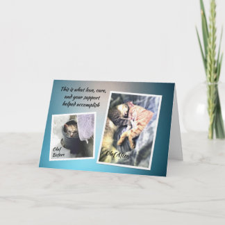 Cartões de agradecimentos de Olaf