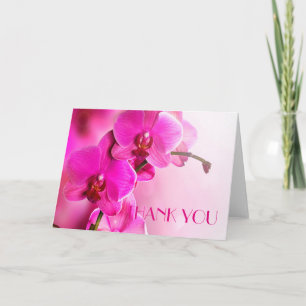 Cartões de agradecimentos de Orquídea Rosa primave