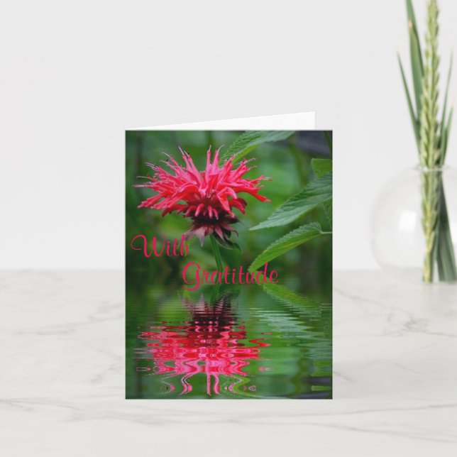Cartões de agradecimentos de Reflexão do Bee Balm (Frente)