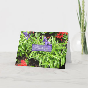 Cartões de agradecimentos de Salvia Azul e Vermel