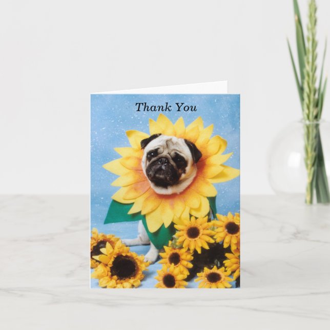 Cartões de agradecimentos de Sunflower Pug (Frente)