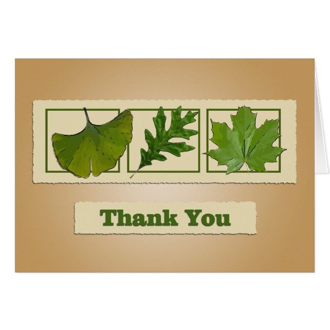 Cartões de agradecimentos de Três Folhas (Frente Horizontal)