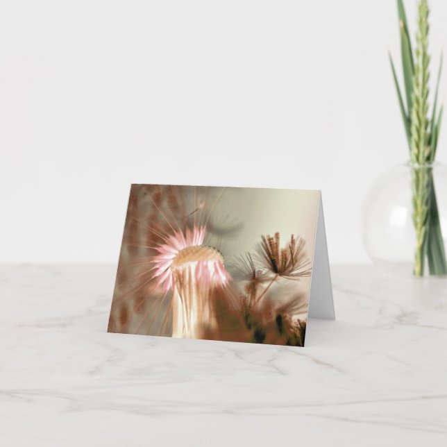 Cartões de agradecimentos de Vazio Dandelion brilh (Frente)