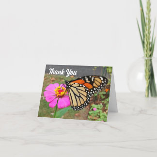 Cartões de agradecimentos de Zinnia Rosa-Rosa de E