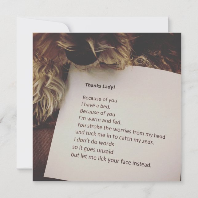 Cartões de agradecimentos do Cão (Frente)