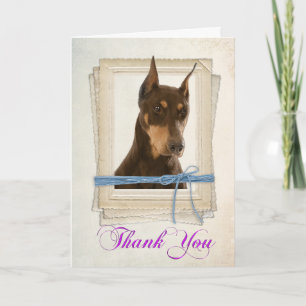 Cartões de agradecimentos Doberman