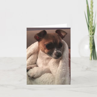 Cartões de agradecimentos dobrado