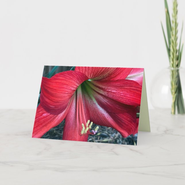 Cartões de agradecimentos dobrado (Frente)