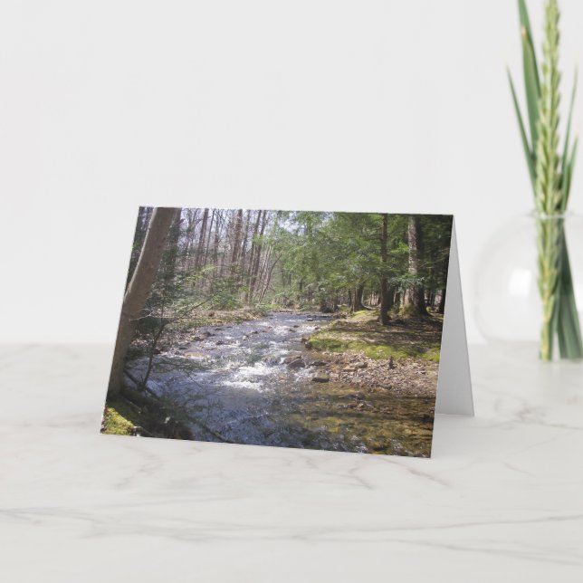 Cartões de agradecimentos dobrado (Frente)