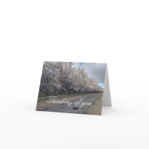 Cartões de agradecimentos dobrado