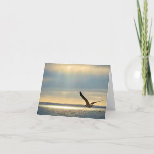 Cartões de agradecimentos dobrado