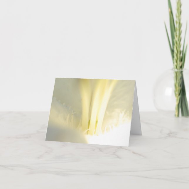 Cartões de agradecimentos dobrado em branco (Frente)