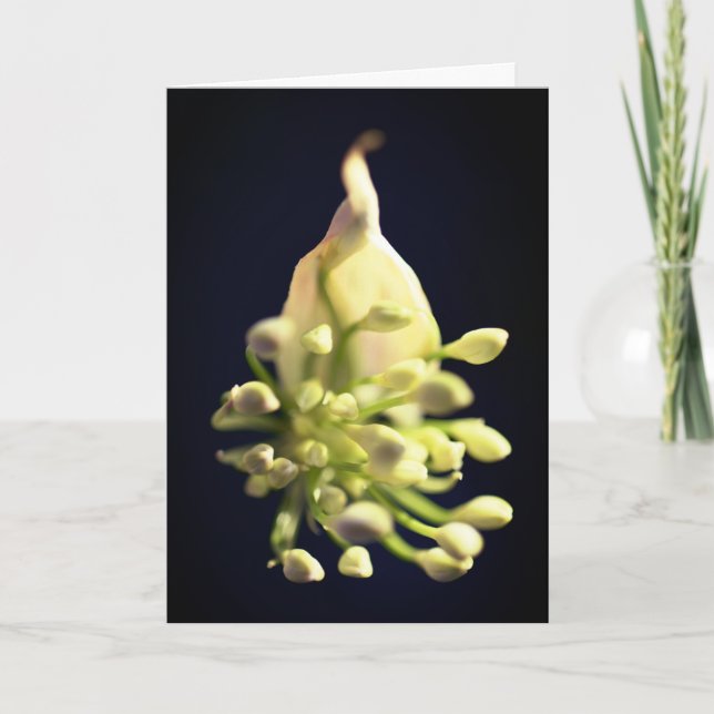 Cartões de agradecimentos Dobrado por Impressão Fl (Frente)