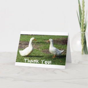 Cartões de agradecimentos Ducky