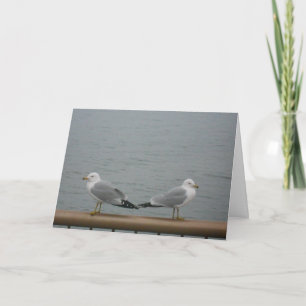Cartões de agradecimentos "Duluth Seagulls"