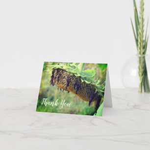 Cartões de agradecimentos Floral de Girassol desbo